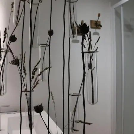 Villa L'echauguette, De Luxe Avec Piscine Au Pied De La Cite Carcassone