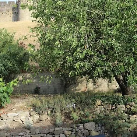 Villa L'echauguette, De Luxe Avec Piscine Au Pied De La Cite Carcassonne