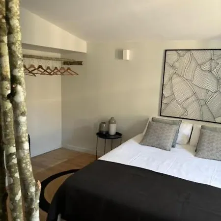 L'echauguette, De Luxe Avec Piscine Au Pied De La Cite * Carcassone