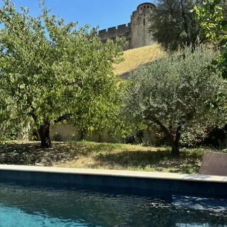L'echauguette, De Luxe Avec Piscine Au Pied De La Cite Villa Carcassonne