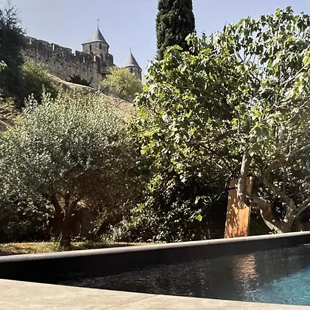 L'echauguette, De Luxe Avec Piscine Au Pied De La Cite Carcassone